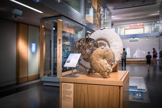 Beyond Accessibility Compliance | Designing Truly Inclusive Exhibits