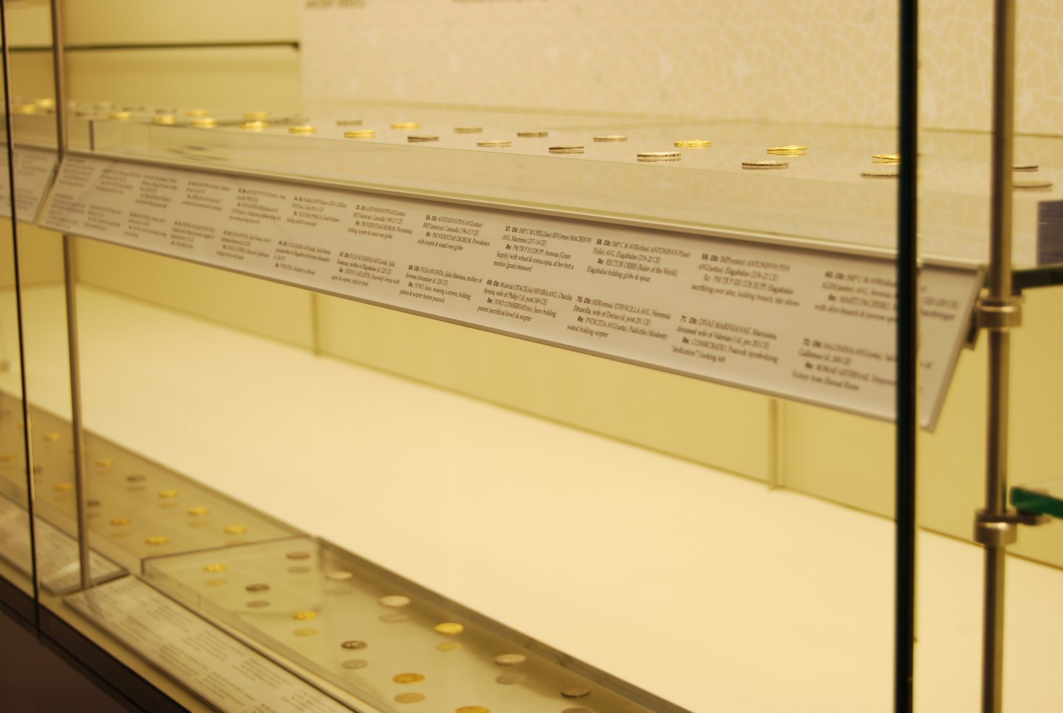 Shelf edge label holder neatly displaying information about a coin collection exhibit.
