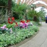 Absolute Floor Socket Barrier protecting flowers and greenery in the Sheffield Winter Garden.