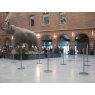 Queue system created using Freestanding Q Barriers with red barrier cord in the great hall of the Toulouse Museum, France.